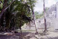 ff000169.jpg