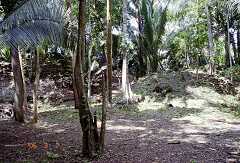 ff000218.jpg