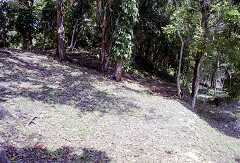 ff000313.jpg