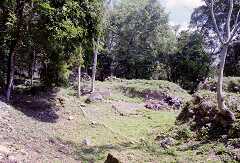 ff000314.jpg