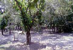 ff000317.jpg