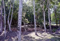 ff000449.jpg