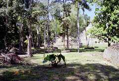 ff000451.jpg