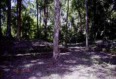 ff000684.jpg