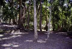 ff000687.jpg