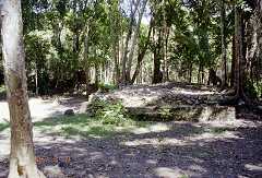ff000688.jpg