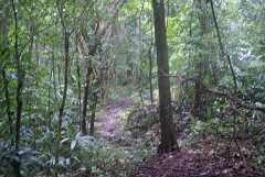 fg000032.jpg
