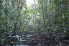 fg000048.jpg