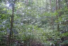 fg000053.jpg