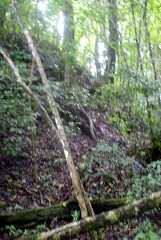 fg000058.jpg