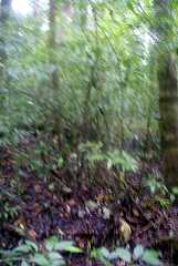 fg000067.jpg
