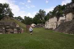 fg000135.jpg