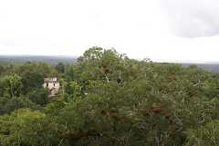 fg000147.jpg