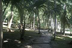 fg000169.jpg