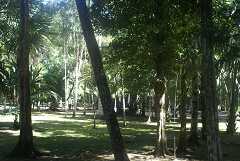 fg000170.jpg