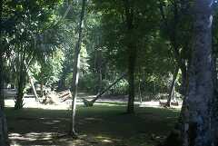 fg000171.jpg