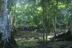 fg000172.jpg