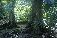 fg000173.jpg