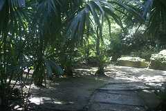 fg000174.jpg