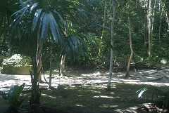 fg000175.jpg