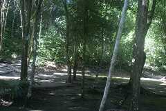 fg000176.jpg