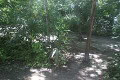 fg000190.jpg