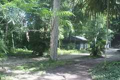 fg000203.jpg