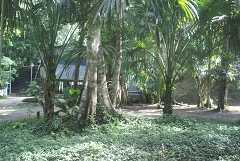 fg000204.jpg