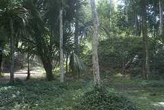 fg000205.jpg