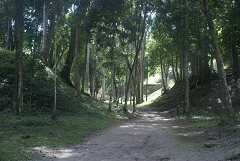 fg000206.jpg