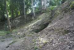 fg000207.jpg