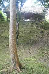 fg000210.jpg