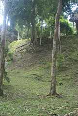 fg000211.jpg