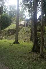 fg000212.jpg