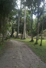 fg000213.jpg
