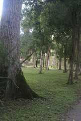 fg000214.jpg