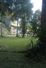 fg000215.jpg