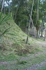fg000216.jpg