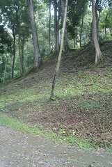 fg000218.jpg