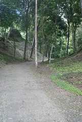fg000219.jpg