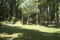 fg000220.jpg