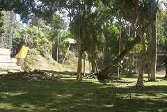 fg000223.jpg