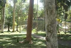 fg000224.jpg
