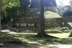fg000226.jpg