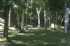 fg000228.jpg