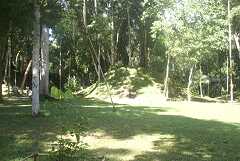 fg000229.jpg