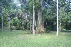fg000245.jpg