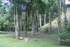 fg000246.jpg