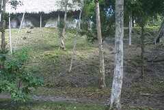 fg000247.jpg