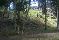 fg000248.jpg